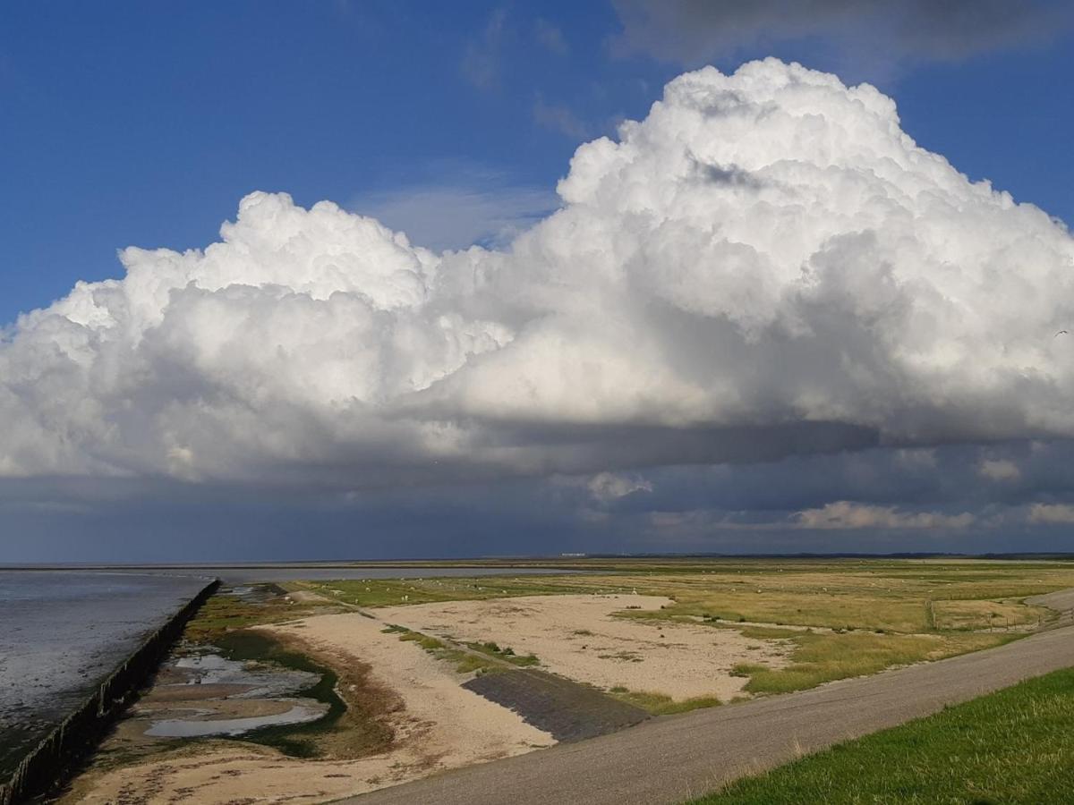 Вилла Waddenfestijn Paesens Экстерьер фото