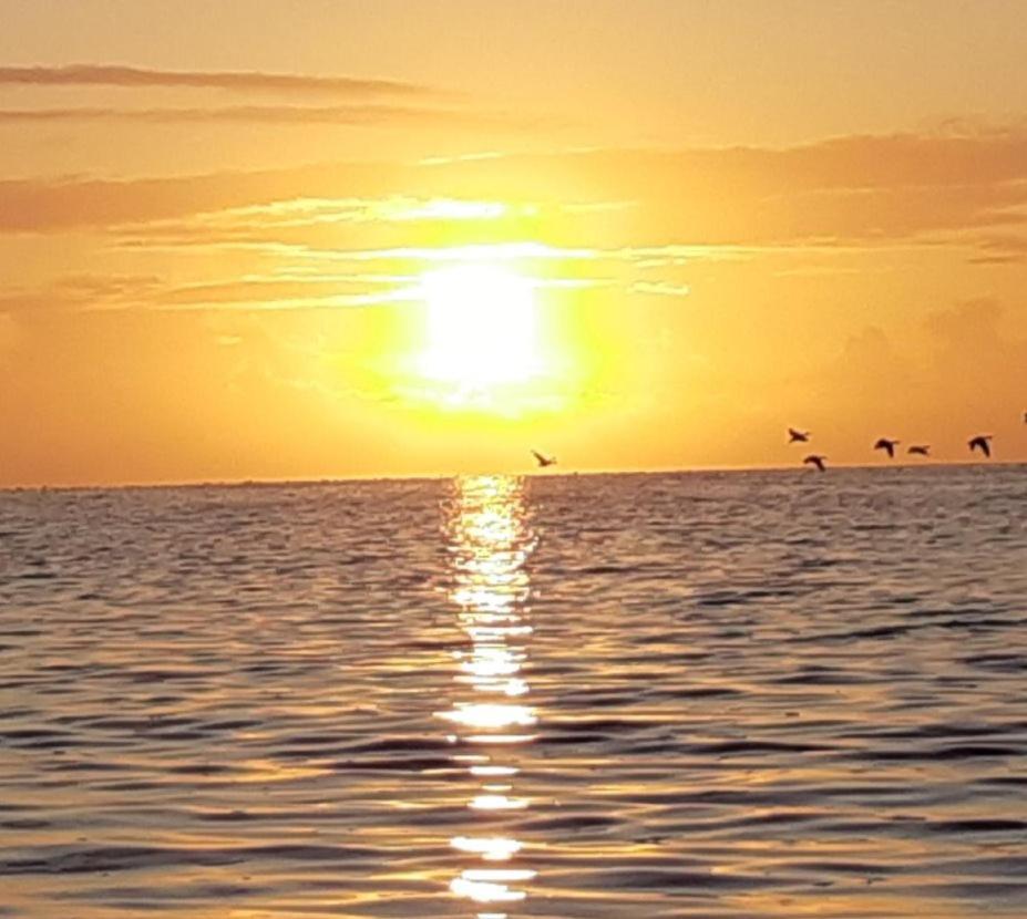 Вилла Waddenfestijn Paesens Экстерьер фото